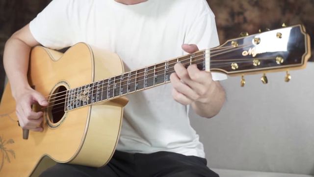 GGP-03 Installation And Demo ( Guitar )