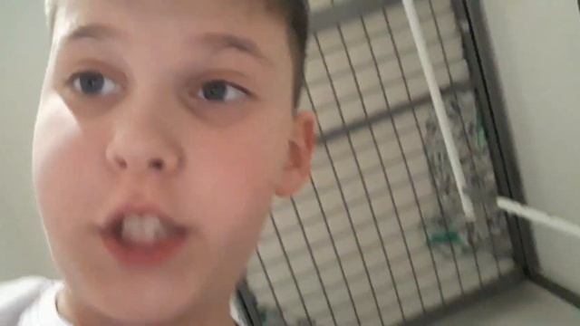 мои рисунки про скибиди туалет