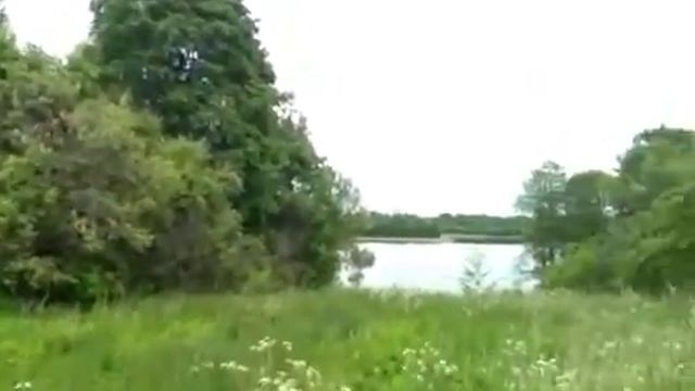 участок под ригой 10 га смотреть онлайн