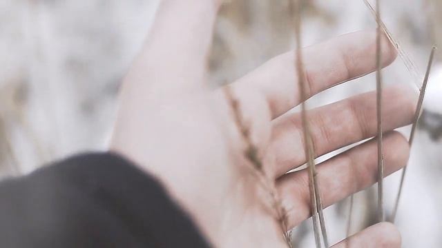 winter смотреть онлайн