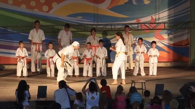 Выступление Таганрогской Федирации Карате в Зелёном театре смотреть онлайн