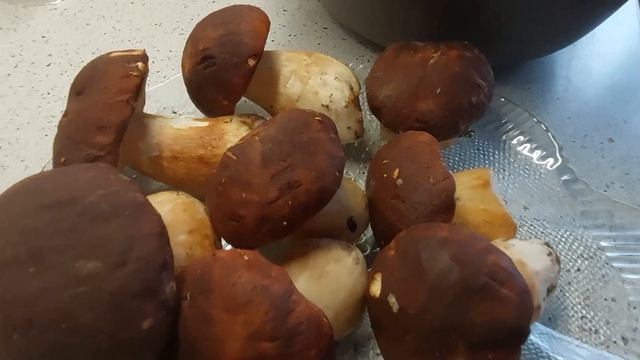 Наконец - грибы #грибы2022 #Подмосковьегрибы #лисичкиибелые #mushroomsintheMoscowregion смотреть онлайн