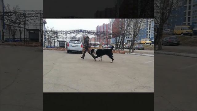 ОТКРЫТ ДЛЯ ВЯЗОК смотреть онлайн