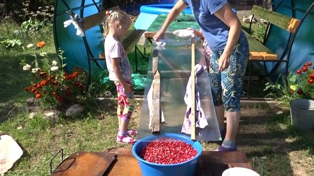 перебираем бруснику смотреть онлайн