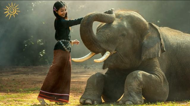 Spiritual India Music: Flute Meditation Music, Calming Music
