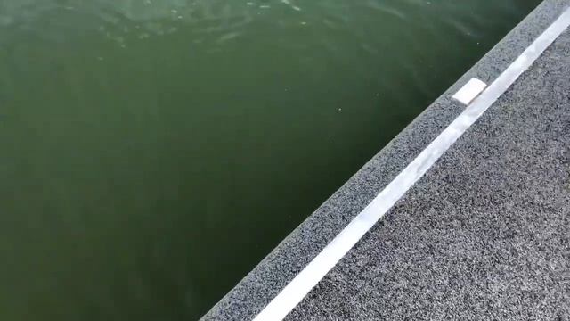 Utilising the bolt-on system ‘D Fender’ to finish off an awesome Prestige Pontoon. смотреть онлайн