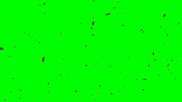 Falling leaves | FREE FOOTAGE | Green screen смотреть онлайн