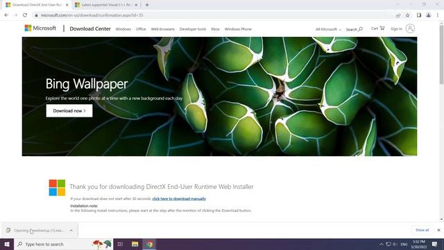 FIX Stray D3D11-compatible GPU (feature Level 11.0 Shader Model 5.0)
