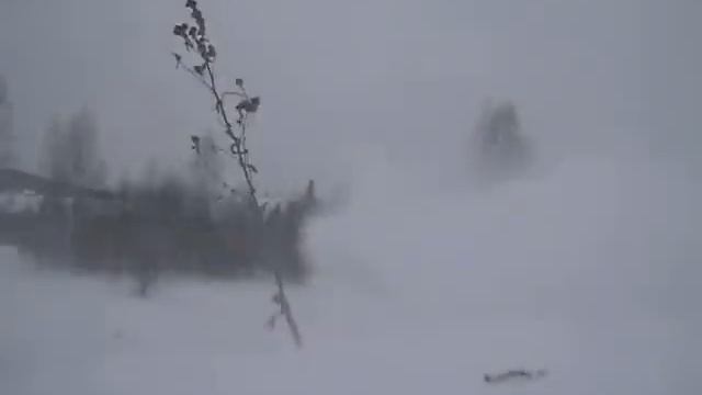 Sledmans снежики ветляны смотреть онлайн