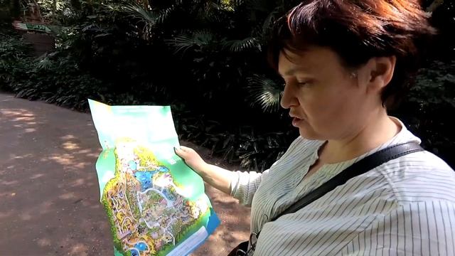 Сафари парк. Панды, тигры. коалы и т.п. смотреть онлайн