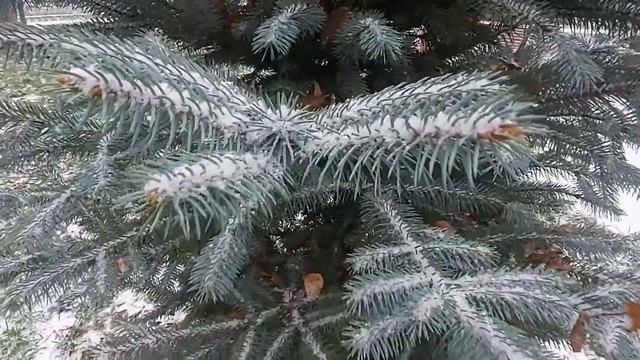 Влог "В Москве выпал первый снег ❄ 20 ноября 2020." смотреть онлайн
