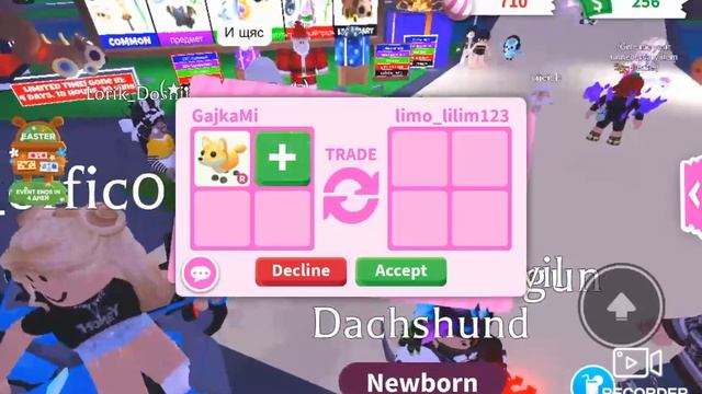 что дают за рыжую лису ксжелению не все? смотреть онлайн