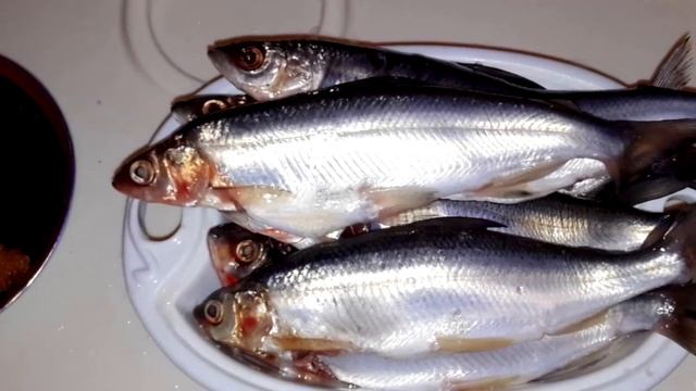 Чистота без лишних слов