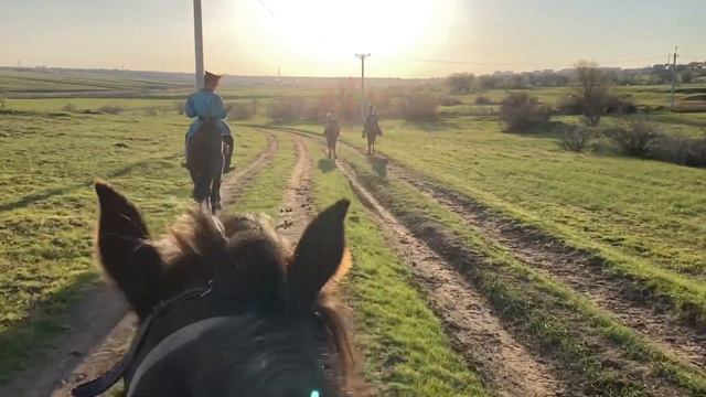 Калмыцкая культура смотреть онлайн