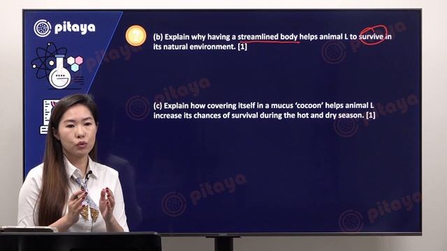 MGS Q32-FREE Science Open-ended Question Video Explanations-For Singapore P5-P6 students смотреть онлайн