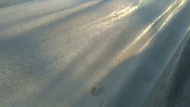 Спасаем клубнику в балаганах от весенних возвратных заморозков. смотреть онлайн