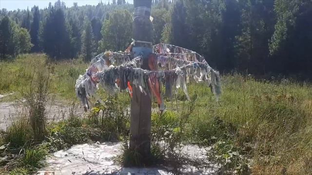 Народ про Единую Россию - «Их остановить тяжело, они богатые» смотреть онлайн