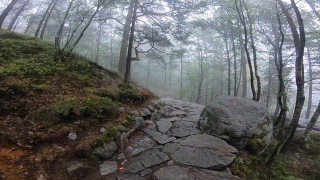 2019-05-20 DLN workshop in Stavanger смотреть онлайн