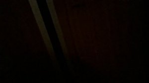 Поехали в Мурманск с НОЧЁВКОЙ/Где поесть? Ч.1