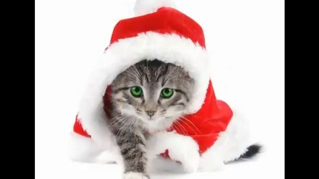 Новогодние Сценки Для 6 Класса смотреть онлайн