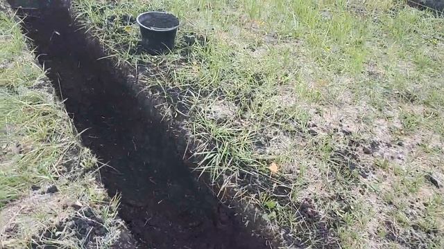 Дизайнерский Завод