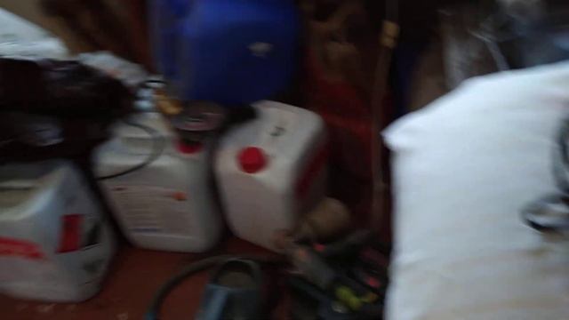 спас вьюрков от мороза #спасениептицзимой смотреть онлайн