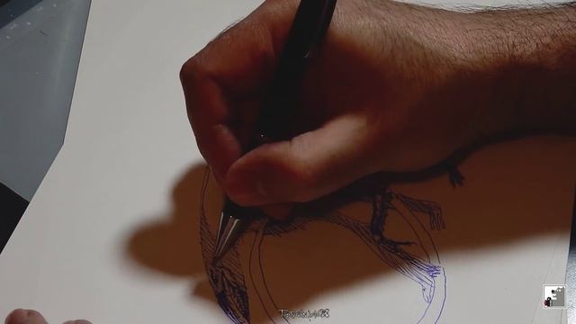 Nikon S9900 | Timelapse смотреть онлайн