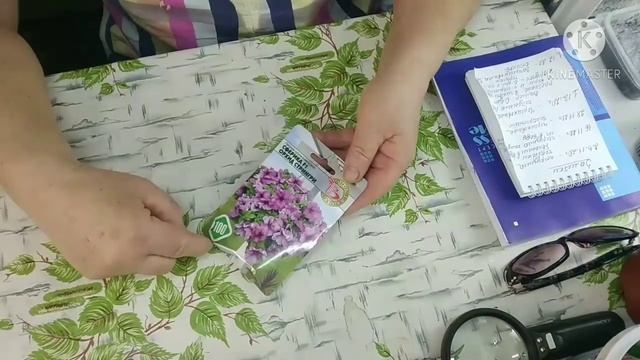 Петуния Сферика, её достоинства. смотреть онлайн