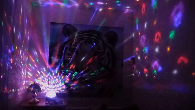 Моя комната в вечернее время. смотреть онлайн