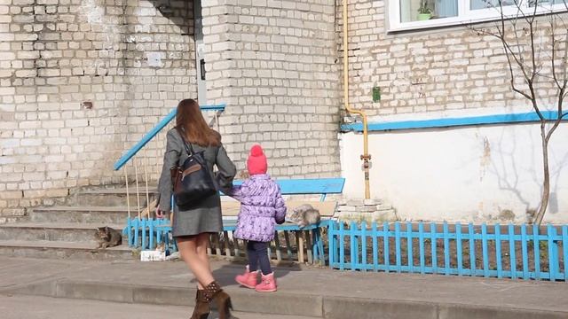 Котики и дети. Почему нельзя трогать котов? смотреть онлайн