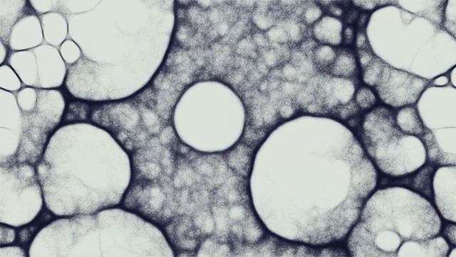 Slime Mold Simulation. Experiments. смотреть онлайн