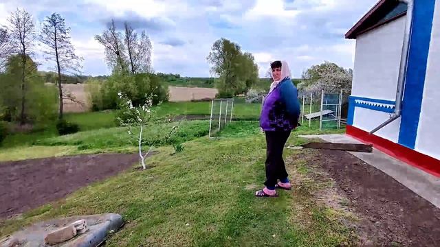 Что растет у Тани на огороде?Делаем обход огорода. смотреть онлайн