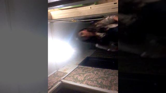 Песни дианы и даши а вы не знаети почему живот болит смотреть онлайн