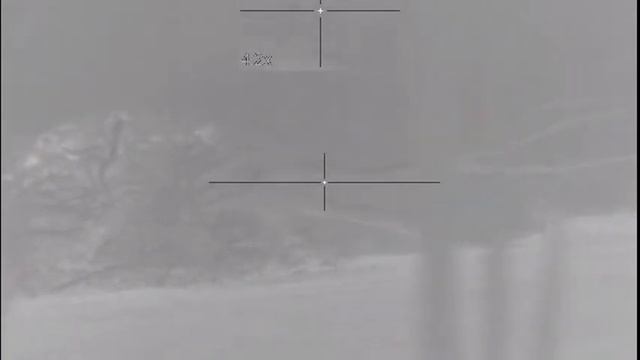 Pulsar Trail XQ 38.Бобер 50 м.308 кал смотреть онлайн