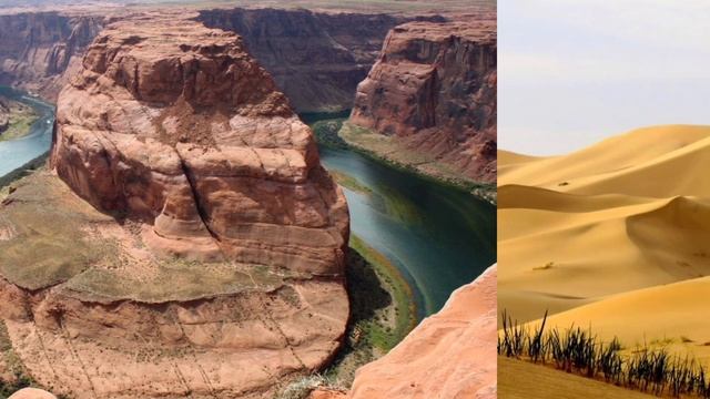 Прокрустово ложе стандартов жизни смотреть онлайн