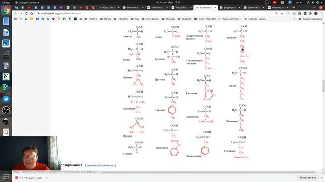 Структура и функции белков (решение задач) смотреть онлайн