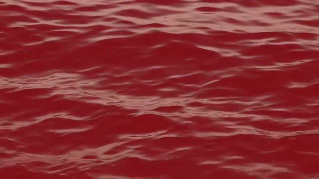 River Of Blood – The London Horror & History Tour смотреть онлайн