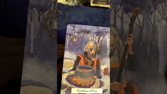 The Witches Wisdom tarot by Phyllis Curott смотреть онлайн