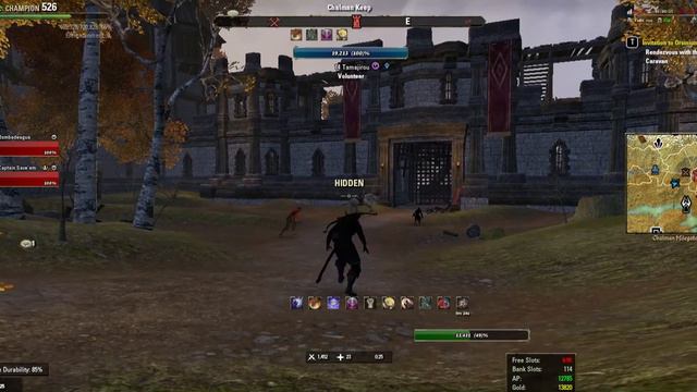 Saturday Night PVP is LIT! - Elder Scrolls Online (Alliance vs Alliance) смотреть онлайн