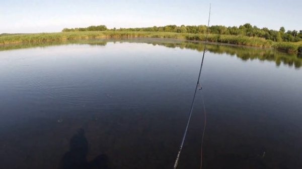 Щучка на поппер Duo Poco-Poco 40F