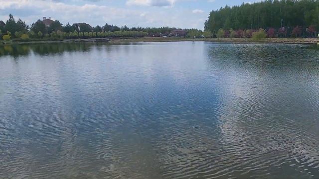 Пруд 40 соток в посёлке Новое Семкино смотреть онлайн