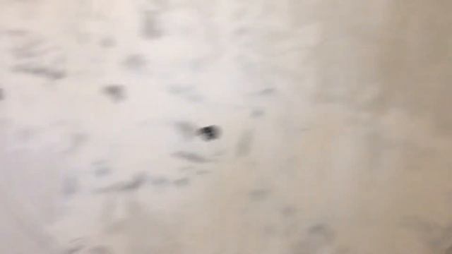 Обзор клеев и герметиков Ceresit