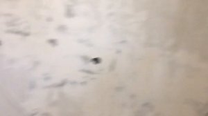 Бюджетная подготовка стен под обои. Ровный белый цвет стен за 200 рублей.  Ремонт своими руками.