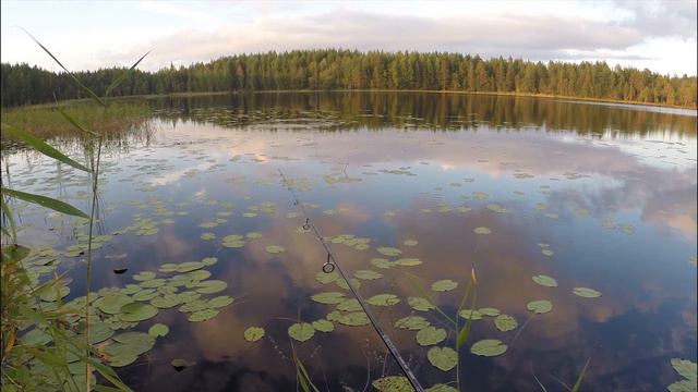 ПОМОРFishing. Выпуск №15. Три поколения. смотреть онлайн