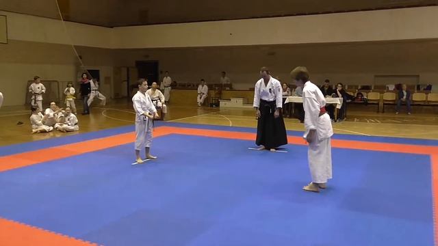 20150214 - Hausnerův pohár 2015 - Brno - Kumite - Bartoš - 02 смотреть онлайн