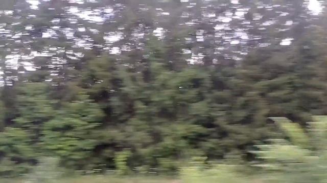 Неполная поездка на утреннем пригородном поезде Юрьев-Польский-Иваново из окна поезда смотреть онлайн