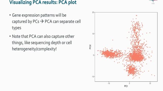 scRNA-seq: Dimension reduction (PCA, tSNE, UMAP) смотреть онлайн