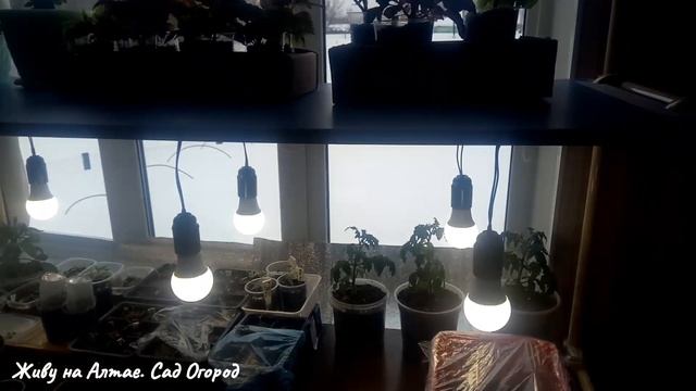 Стройка Современности