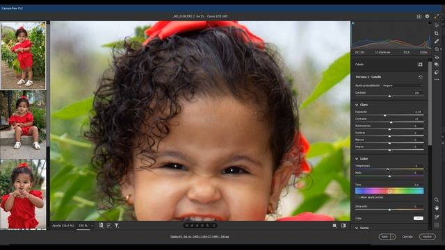 Editar varias fotos a la vez con Inteligencia Artificial IA de Adobe Camera RAW смотреть онлайн