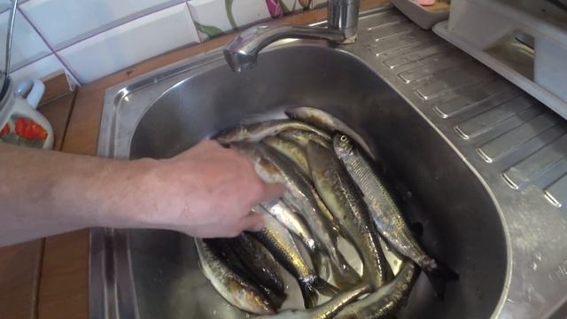 СЕЛЁДКА КЛЮЁТ НА ЗИМНИЮ УДОЧКУ! ТОЛЬКО МНЕ. смотреть онлайн